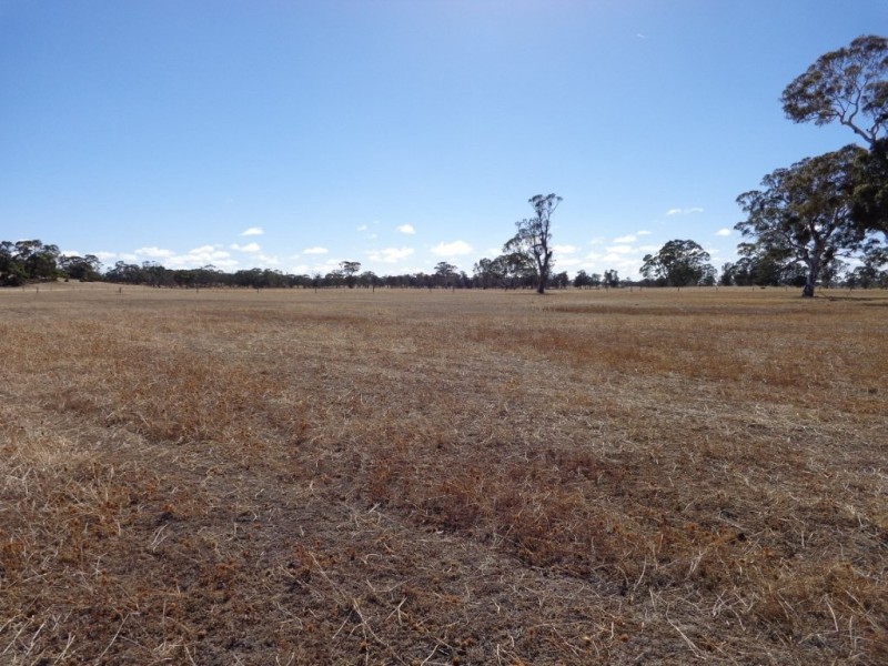 426 Cadell Road, Bordertown SA 5268