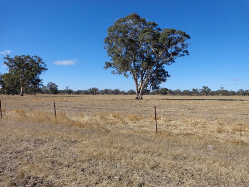 426 Cadell Road, Bordertown SA 5268