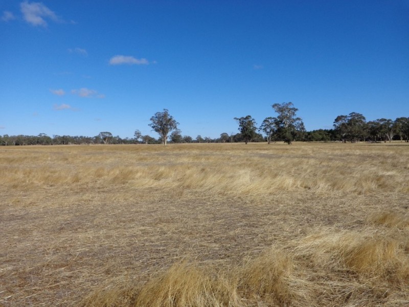 426 Cadell Road, Bordertown SA 5268