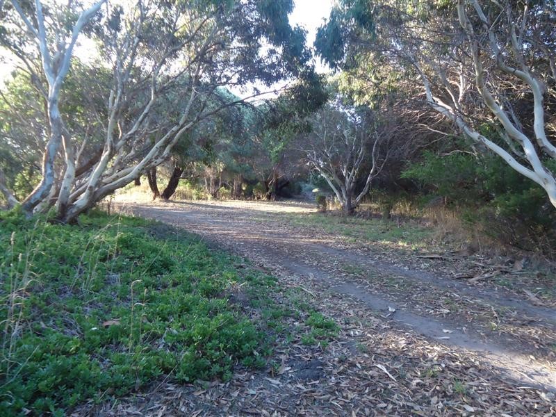 Lot 32 Admella Drive, Beachport SA 5280