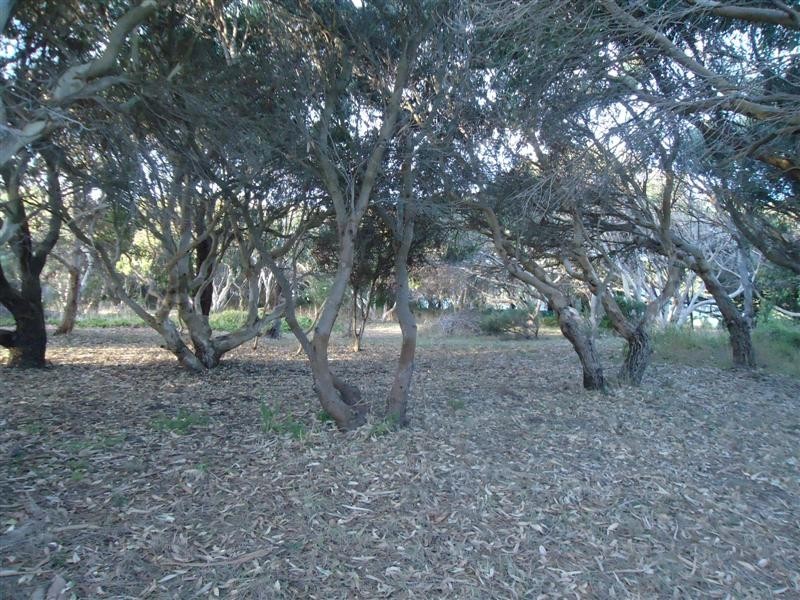 Lot 32 Admella Drive, Beachport SA 5280