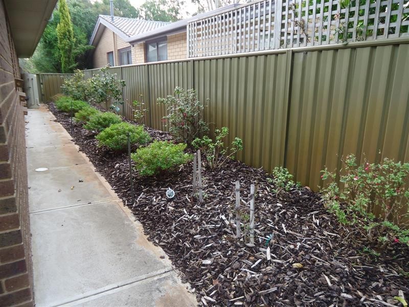 23 Park Terrace, Millicent SA 5280