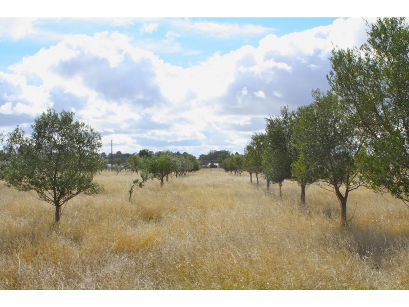 211 Pinkerton Road, Naracoorte SA 5271