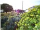 11 Chambers Street, Beachport SA 5280