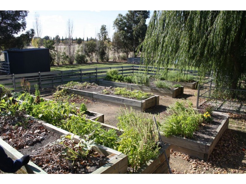 2 Pinkerton Road, Naracoorte SA 5271