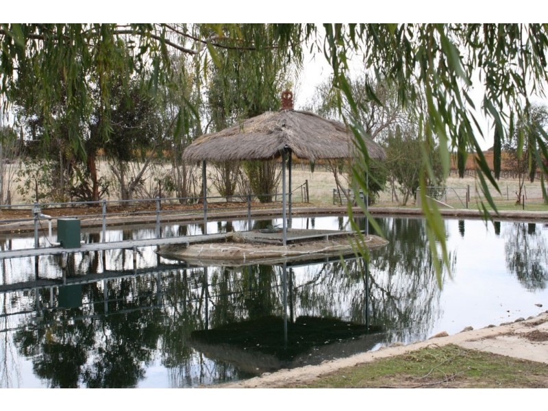 2 Pinkerton Road, Naracoorte SA 5271