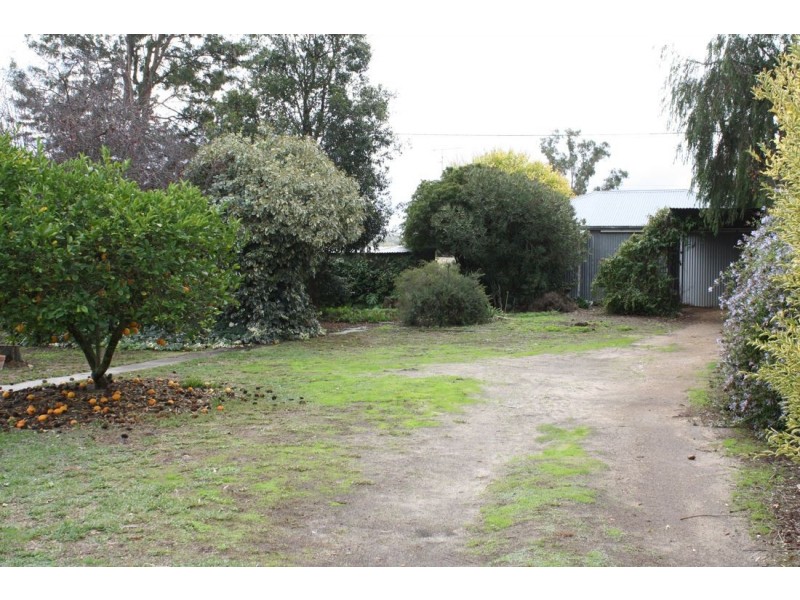 59 Freeling Street, Naracoorte SA 5271