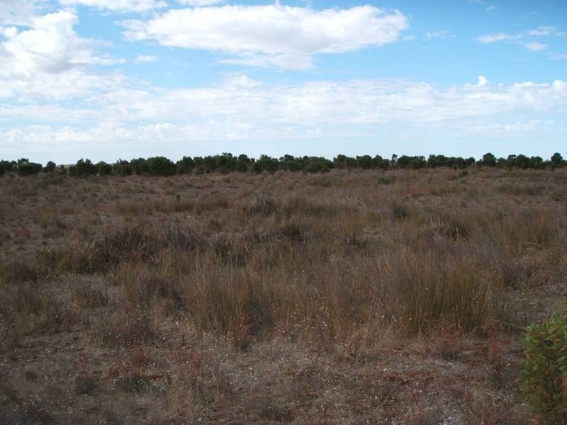 11 Southern Ports Highway, Robe SA 5276