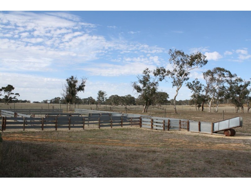 1370 Cadgee Road, Naracoorte SA 5271
