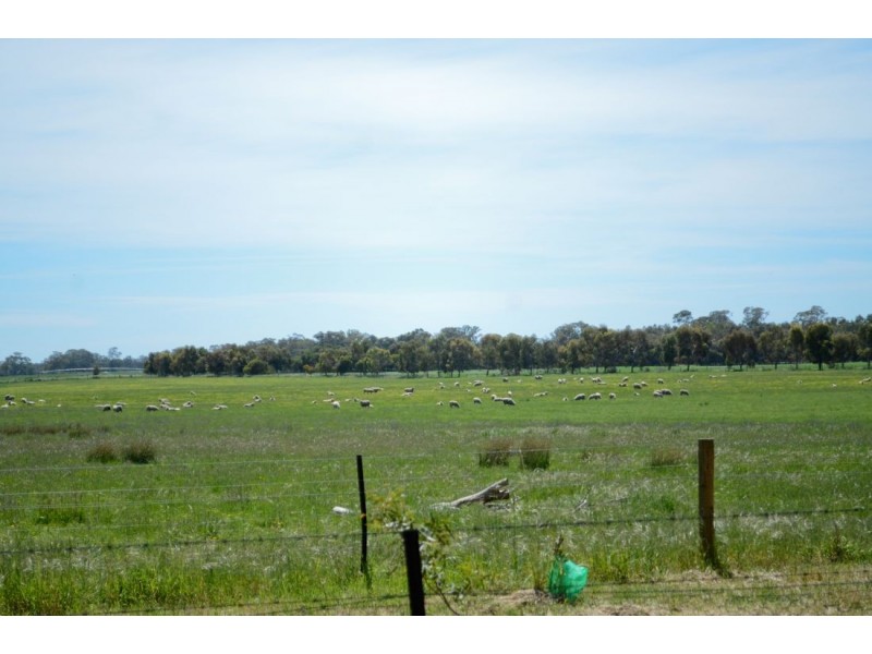 540 Hynam Caves Road, Naracoorte SA 5271