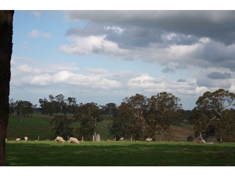 XX Edenhope Casterton Harrow Road, Kadnook VIC 3318