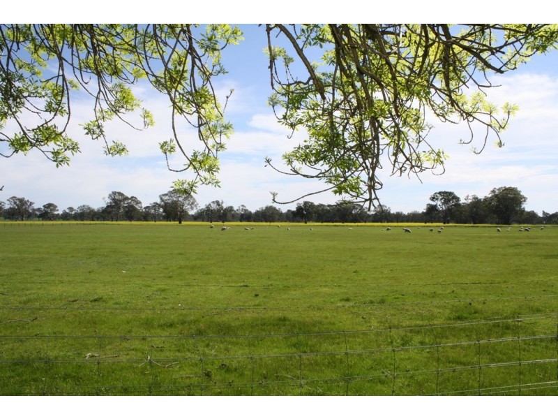 176 Miles Road, Hynam SA 5262