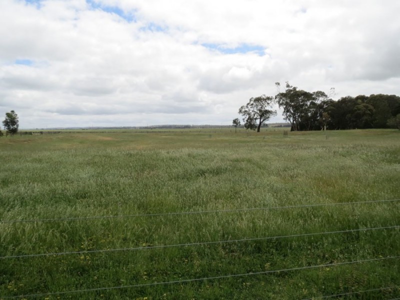 235 * Messamurray Road, Naracoorte SA 5271