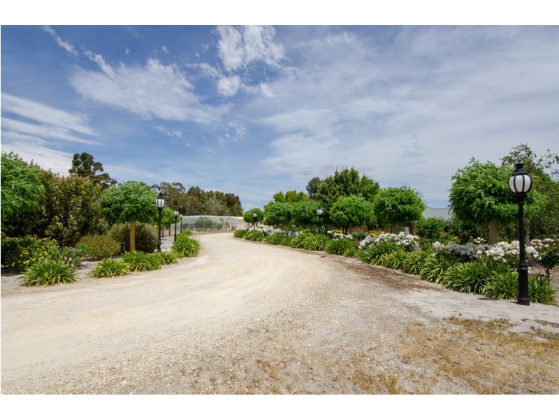 45 Rotary Avenue, Naracoorte SA 5271