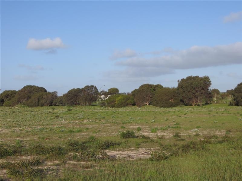 28 Matheson Street, Kingston Se SA 5275