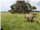Sec 208 Millicent Road, Robe SA 5276