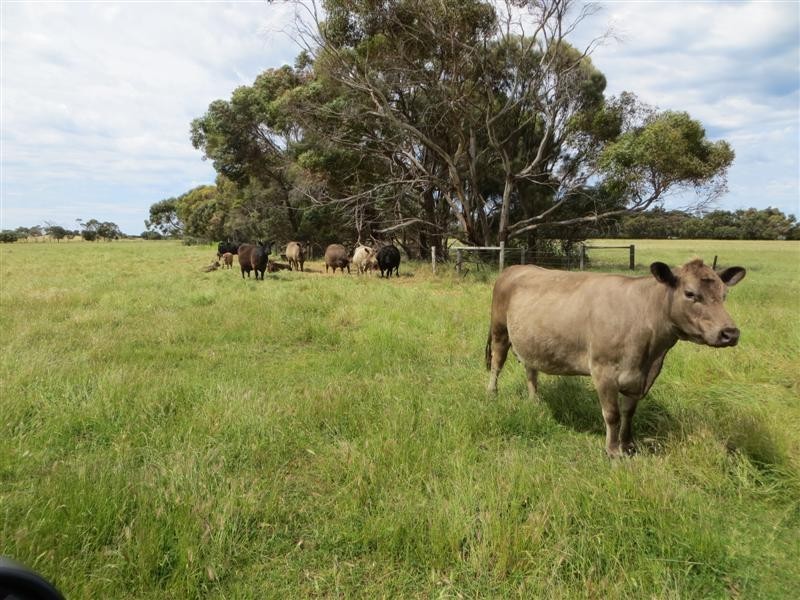 Sec 208 Millicent Road, Robe SA 5276