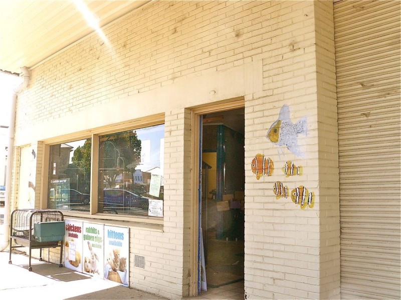 10 Ormerod Street, Naracoorte SA 5271