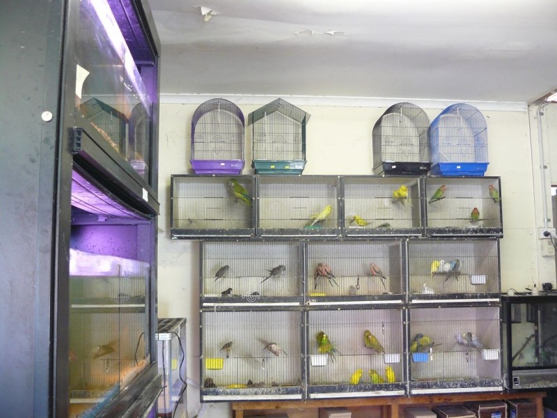 10 Ormerod Street, Naracoorte SA 5271