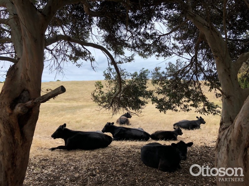 Lot 2 Southern Ports Highway, Robe SA 5276