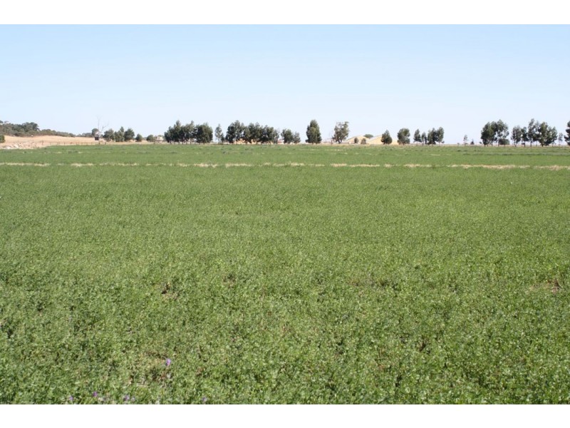 126 Doolans Road, Naracoorte SA 5271