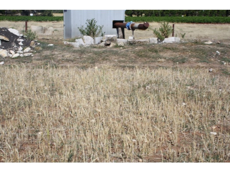 126 Doolans Road, Naracoorte SA 5271