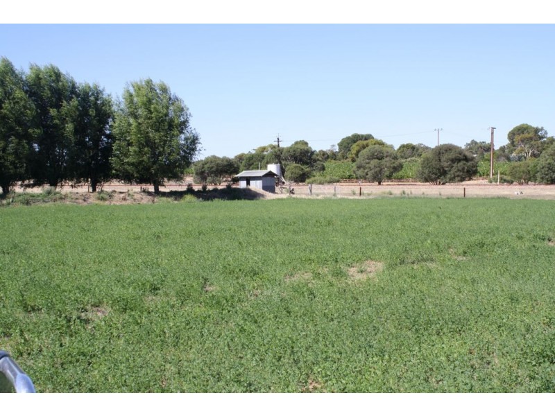 126 Doolans Road, Naracoorte SA 5271