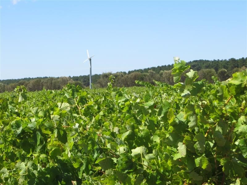 Allotment 1 Southern Ports Highway, Mount Benson SA 5275