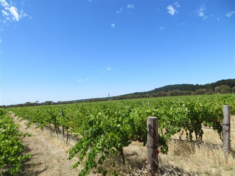 Allotment 1 Southern Ports Highway, Mount Benson SA 5275