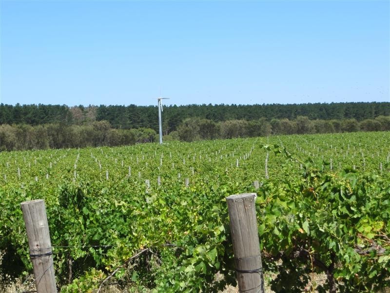 Allotment 1 Southern Ports Highway, Mount Benson SA 5275