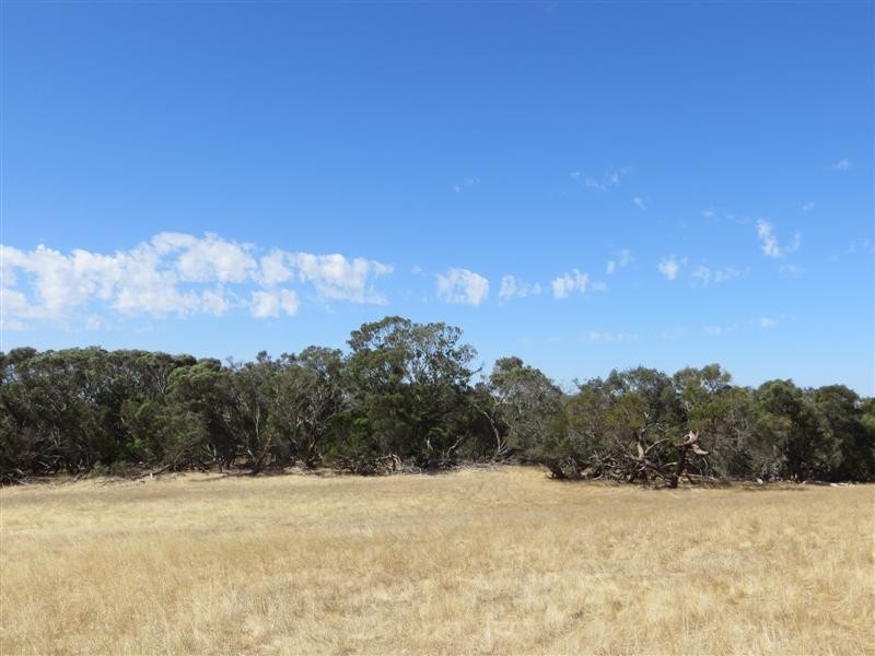 Allotment 1 Southern Ports Highway, Mount Benson SA 5275