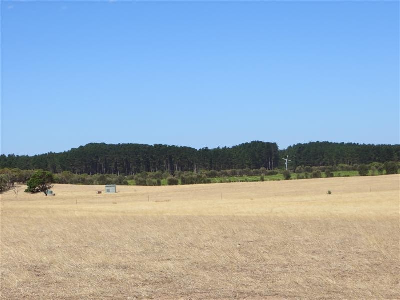 Allotment 1 Southern Ports Highway, Mount Benson SA 5275
