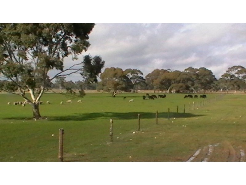 113 Jim Whitehead Road, Edenhope VIC 3318