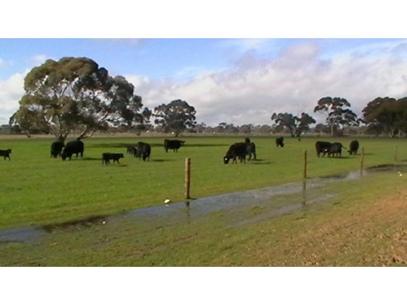 113 Jim Whitehead Road, Edenhope VIC 3318