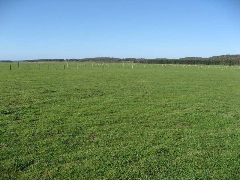 Lakeview Off Springs Road, Robe SA 5276