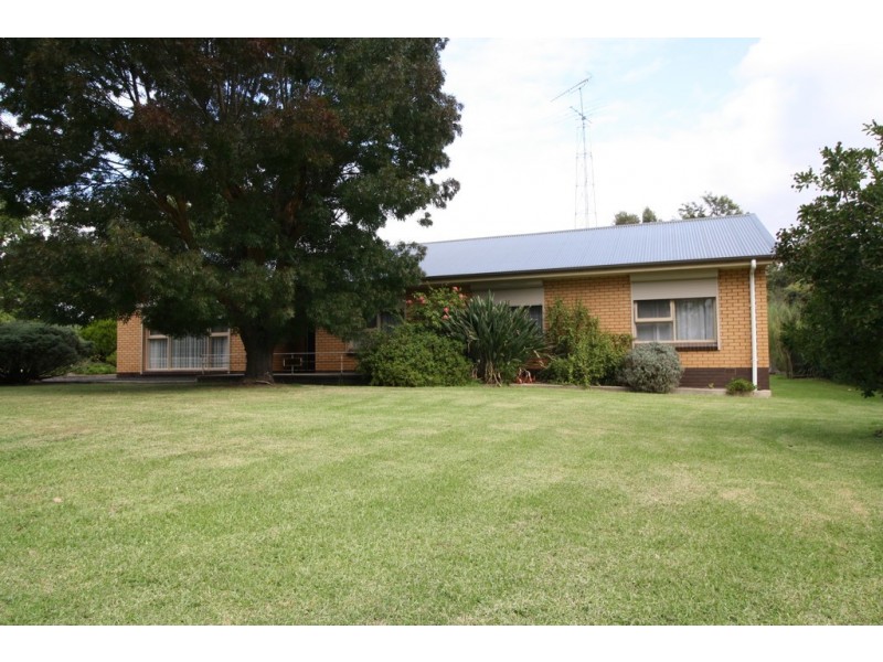 8 Park Terrace, Naracoorte SA 5271