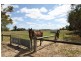 114 Old Caves Road, Naracoorte SA 5271