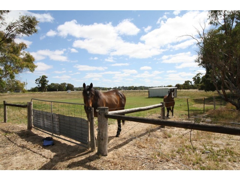 114 Old Caves Road, Naracoorte SA 5271