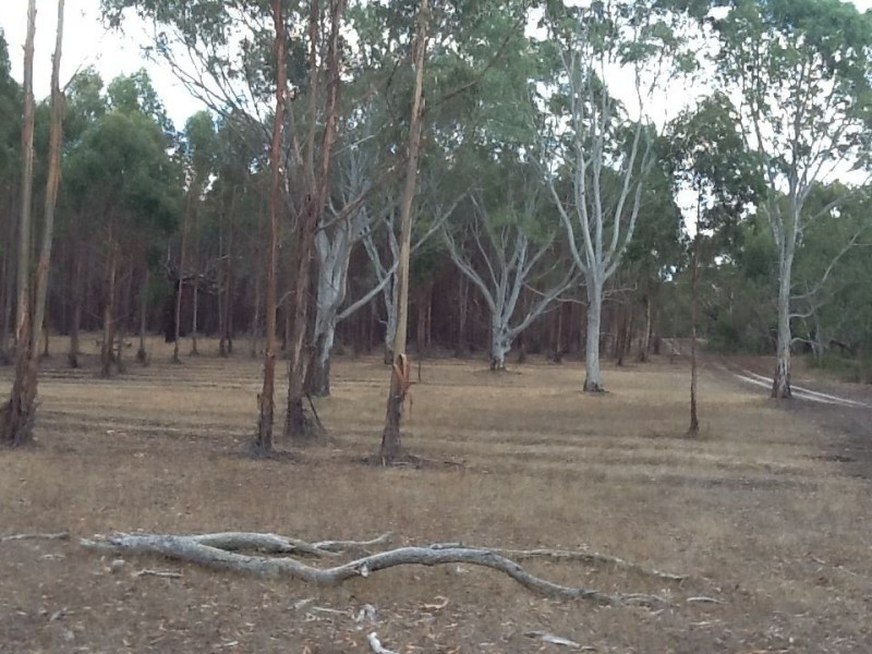 XX Meereek Road, Langkoop VIC 3318