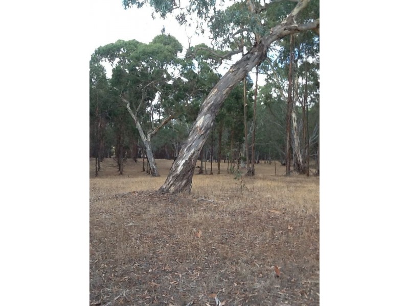 XX Meereek Road, Langkoop VIC 3318