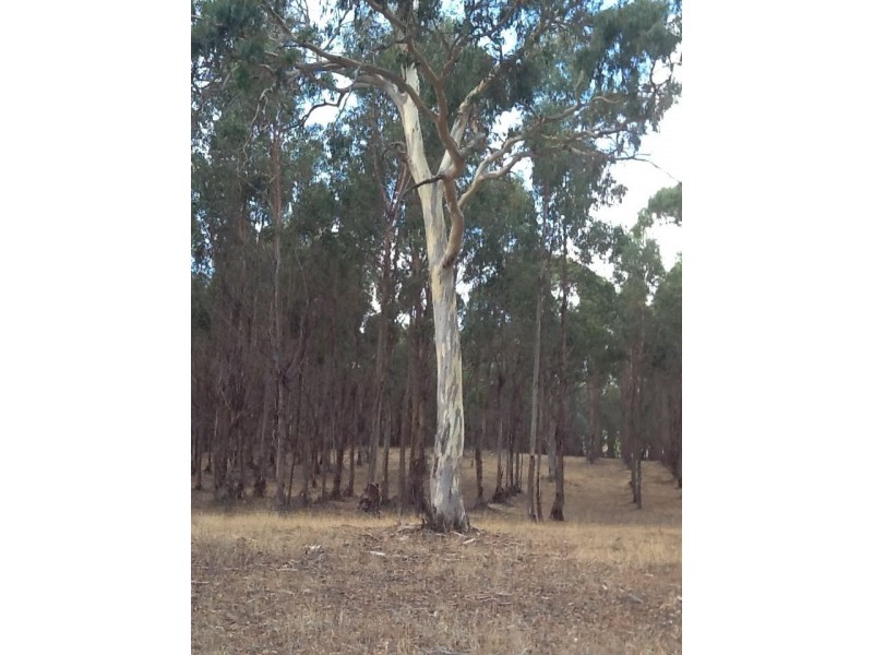 XX Meereek Road, Langkoop VIC 3318