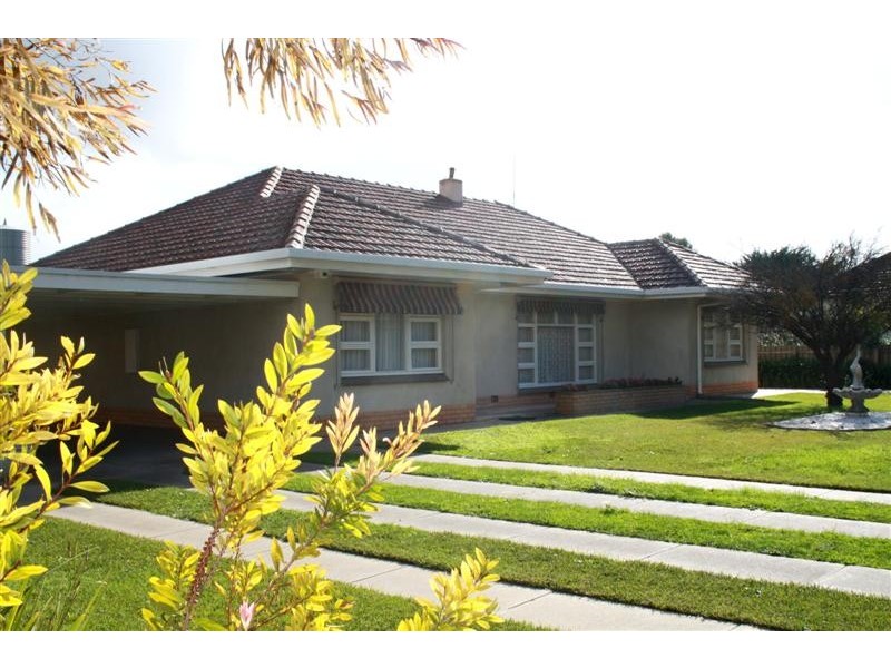 41 Adelaide Road, Millicent SA 5280