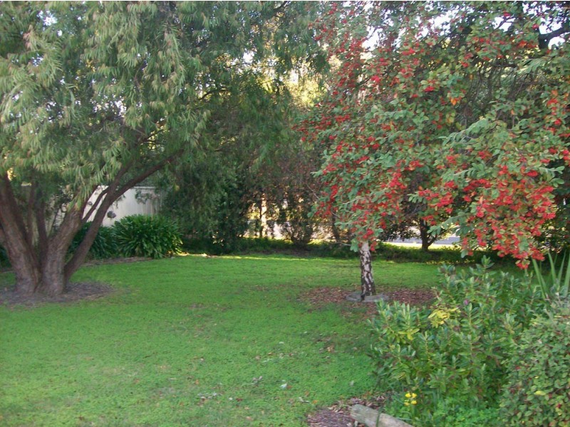 167 Mount Gambier Road, Millicent SA 5280