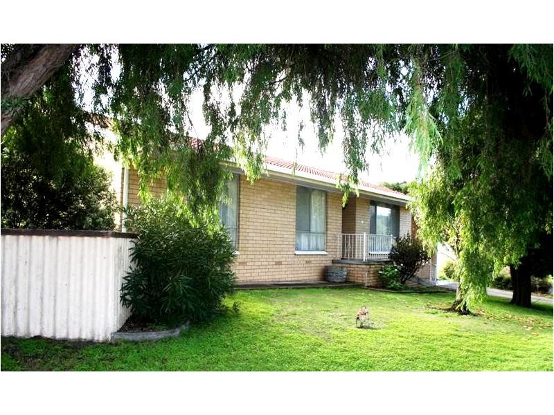 19 Hutchesson Street, Millicent SA 5280