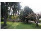 19 Hutchesson Street, Millicent SA 5280