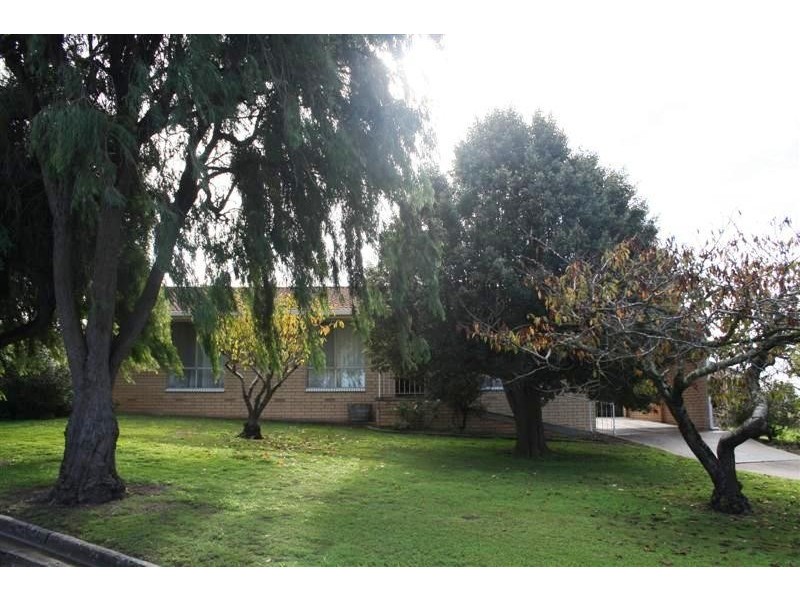 19 Hutchesson Street, Millicent SA 5280