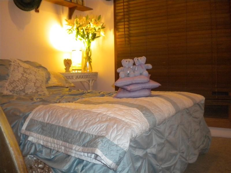 6 Olive Street, Millicent SA 5280