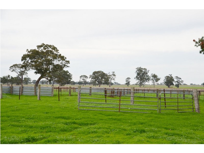 759 Jessie Road, Naracoorte SA 5271
