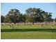 759 Jessie Road, Naracoorte SA 5271