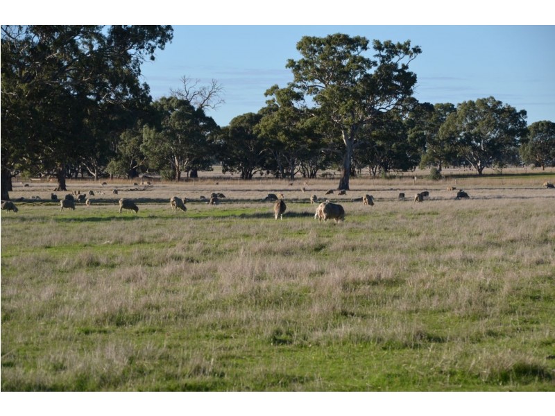 759 Jessie Road, Naracoorte SA 5271